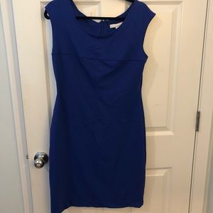 NWT Lucy and Laurel shift dress